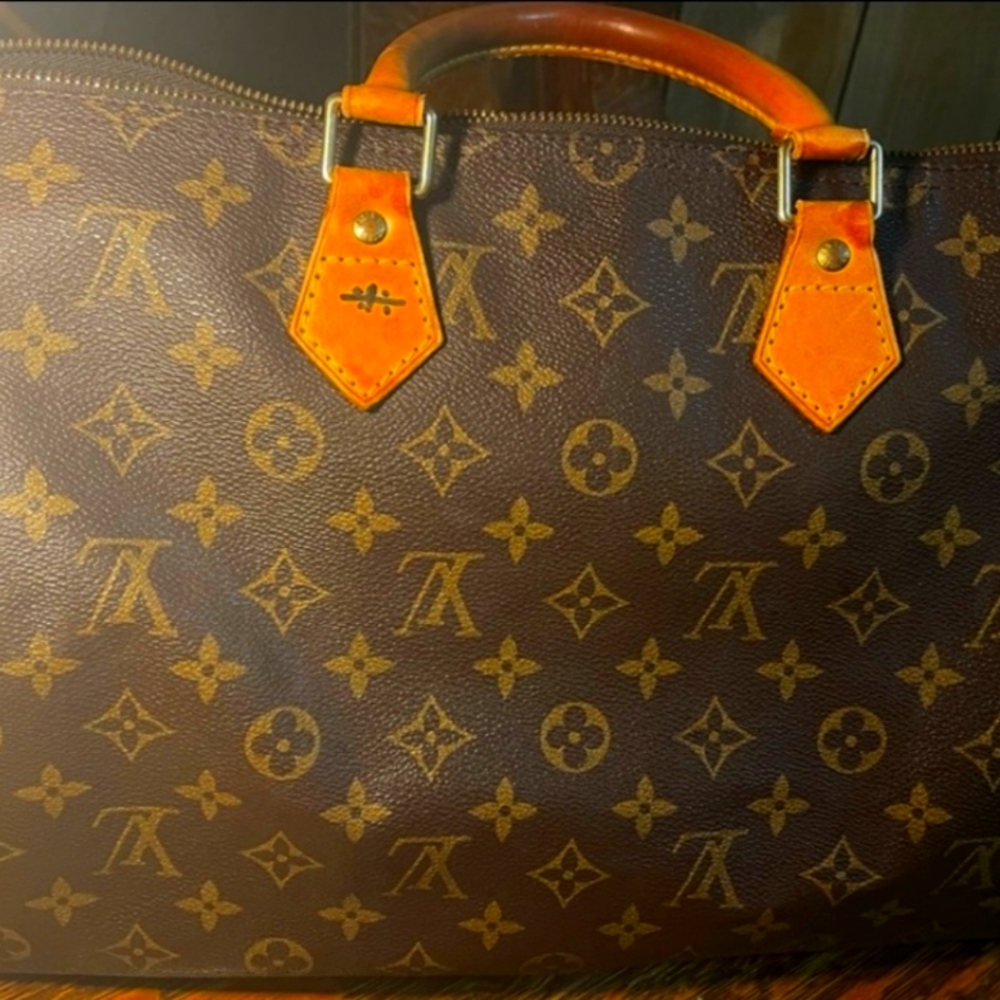 Louis Vuitton purse